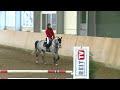Springreiten lernen: Anforderungen Springparcours Klasse E | REITTV-Classics
