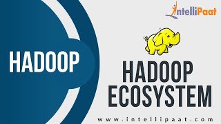 Introduction to Hadoop Ecosystem | Hadoop Architecture Training | Intellipaat
