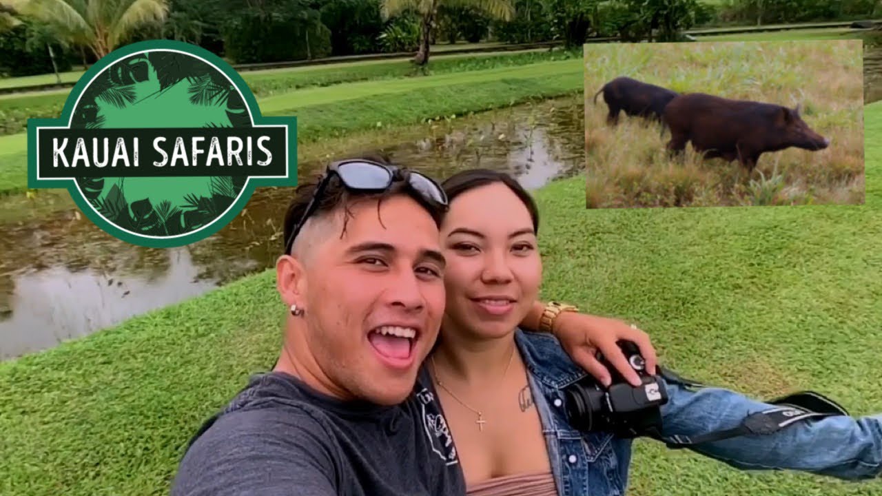 Kauai Safari RUM TOUR!! YouTube