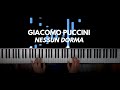 Puccini  nessun dorma turandot