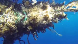There is more plastic in the ocean then there is life.