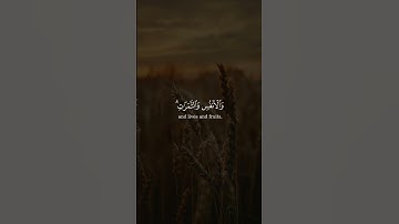 ولنبلونكم بشيء من الخوف والجوع | القارئ إسلام صبحي | قرآن كريم ..♡