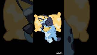 Bluey Sleep 1