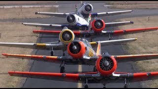 Harvards Flying in Formation - Johannesburg, South Africa