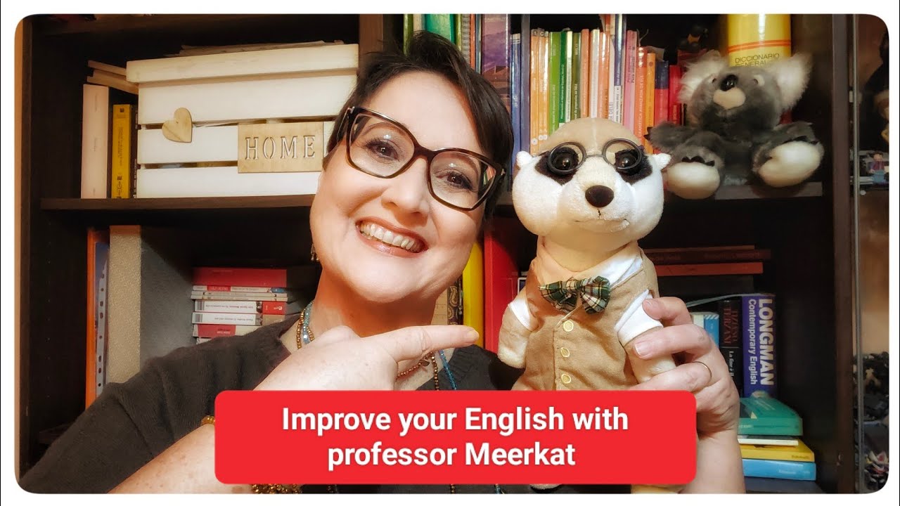 Improve your English with professor Meerkat