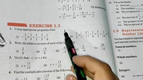Class 8 Maths Exercise 1.1 Q7–Q11 | NCERT Rational Numbers Full Easy Solution🔥