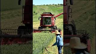 Modern Farming Machine Ka Power 🚜🔥 #shorts #viral #farming