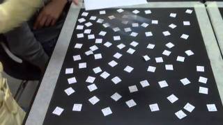 Predation Simulation Task