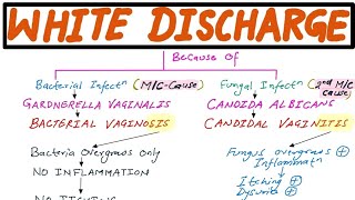 GYNECOLOGY LECTURE - White Discharge (Bacterial Vaginosis & Candidal Vaginitis) screenshot 4