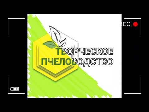 Весна будет холодной, нужно ли стимулировать семьи?