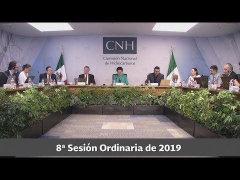 Resumen 8ª Sesión