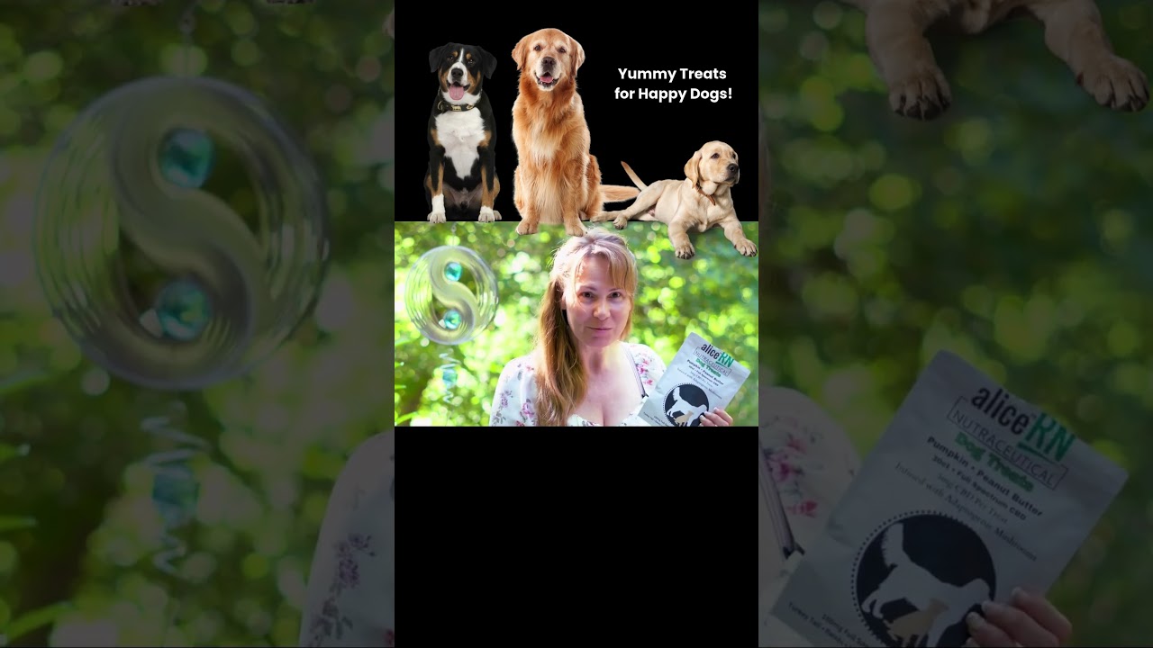 CBD Pumpkin Mushroom Dog Treats 🐶 | Natural Pet Wellness