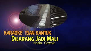 Download Lagu Karaoke Dilarang Jadi Mali Nada Cowok MP3
