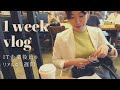 【社会人vlog】怒涛の月末1週間を記録しました。
