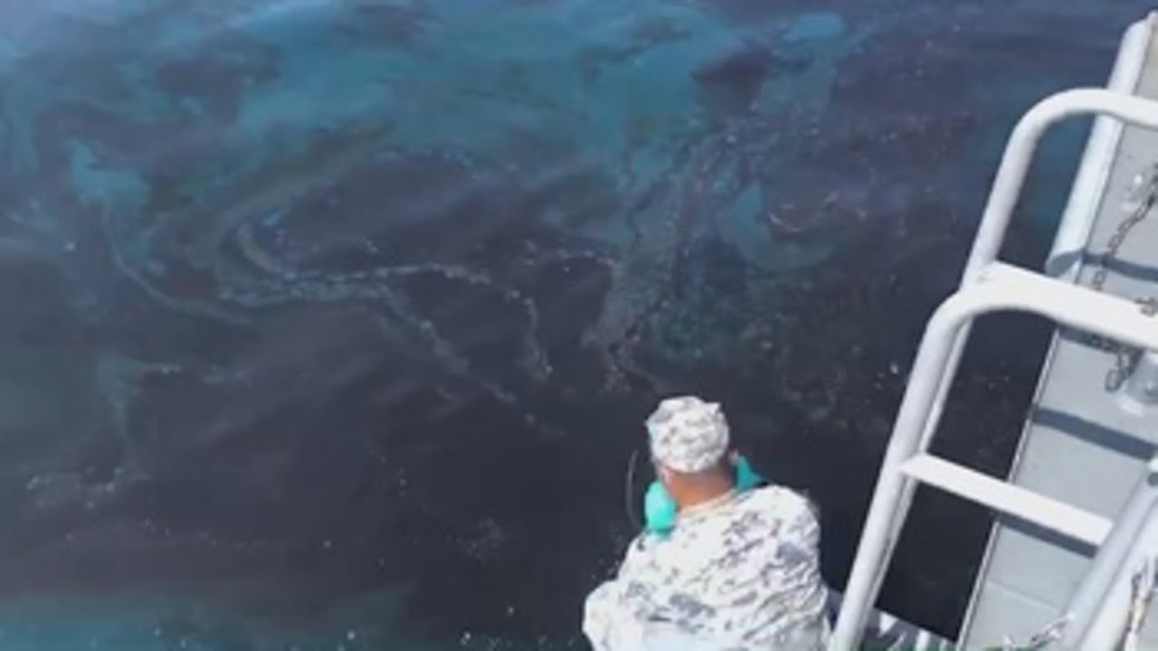 Sitio Andino | https://www.youtube.com/embed/7lg1OSq4mxQ?autoplay=1