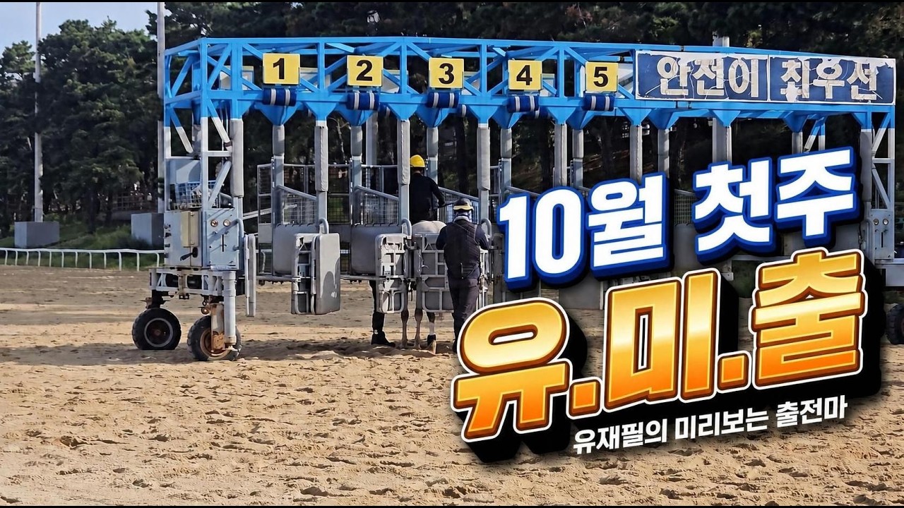 [10월 첫 주/유.미.출/유재필의 미리 보는 출전마~!]