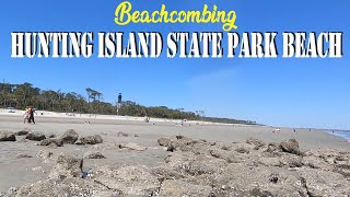 Visiting HUNTING ISLAND STATE PARK BEACH in Beaufort SC for a day of Beachcombing