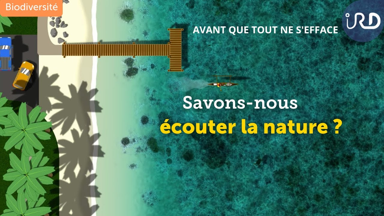 Avant que tout ne s'efface YouTube