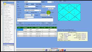 One Page and Multipage Astrology Using Sithars Astrology Software in Tamil screenshot 1