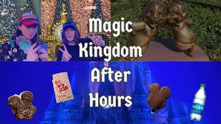 A FOGGY Magic Kingdom After Hours Event. Unlimited snacks, low waits, and TWO firework shows!