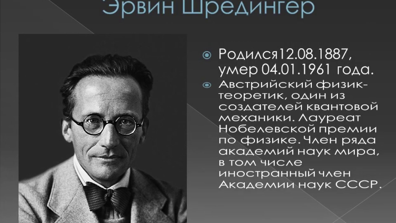 Квантовое бессмертие что это. Квантовое бессмертие. Теория бессмертия. Теория квантовой смерти. Квантовое самоубийство.