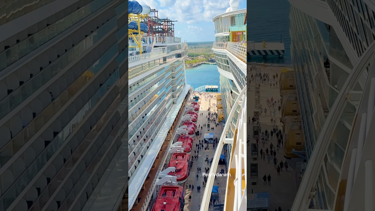 Two Giants Docked! Allure and Norwegian Escape #cruiseship