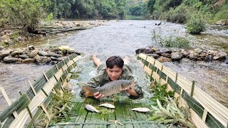 How to trap fish primitively with bamboo. Binh's daily life | Bình - Building new life
