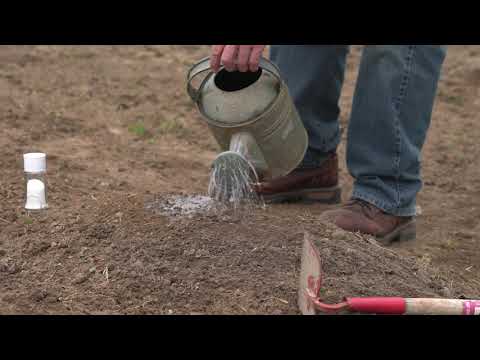 Hampton Farms Spring Planting 2020