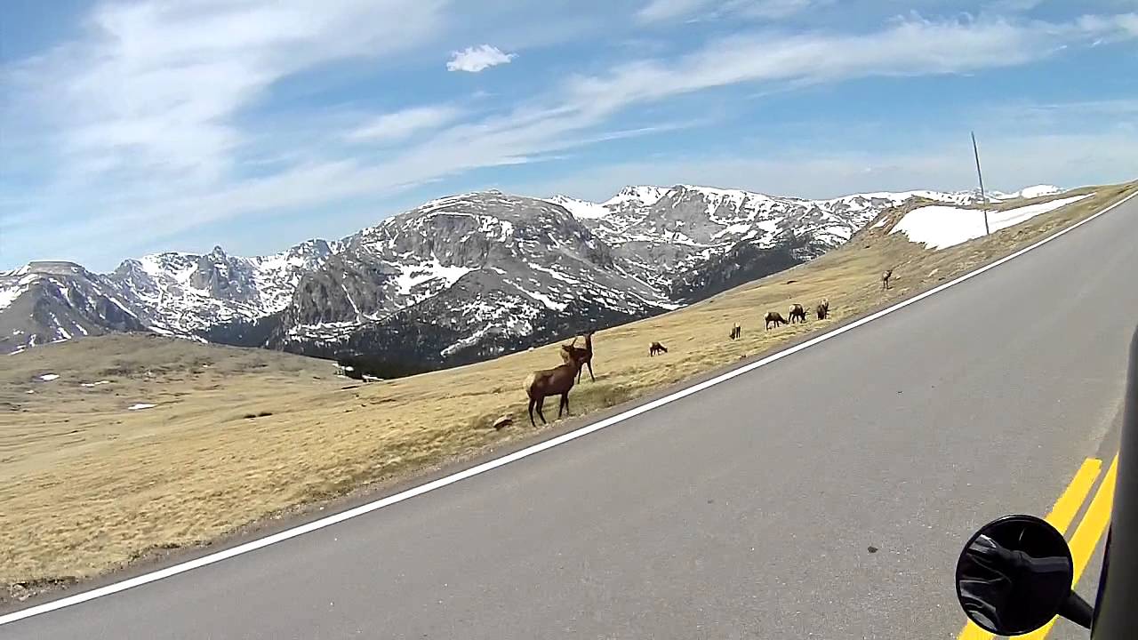 Trail Ridge Road YouTube Trail Ridge Road YouTube