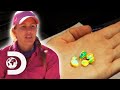 The Tunnel Rats Make The Most Of Low-Quality Opal To Pay For Expenses | Outback Opal Hunters