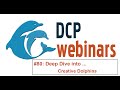 Dcp deep dive creative dolphins  killer whales vs dolphins