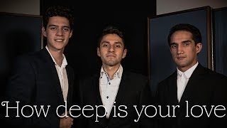 Bee Gees - How Deep Is Your Love (Ángel Terán, Choiz Castañeda & Diego Navarrete) Cover.