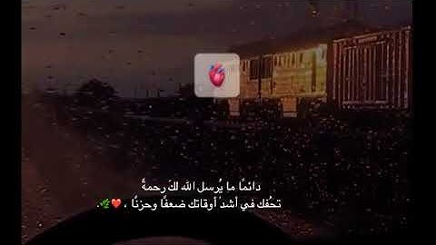 القرآن ربيع القلوب | القرآن الكريم