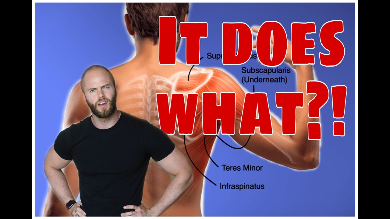 Revealed: A Physical Therapist's #1 Go-To Exercise to Strengthen Your Rotator Cuff and why!