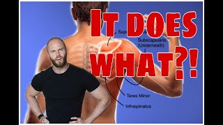 Revealed: A Physical Therapist's #1 Go-To Exercise to Strengthen Your Rotator Cuff and why!