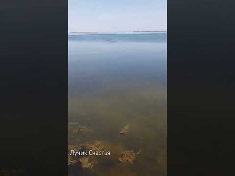 Веселовское водохранилище. #лучиксчастья #рыбалка #маныч #Веселовскоеводохранилище