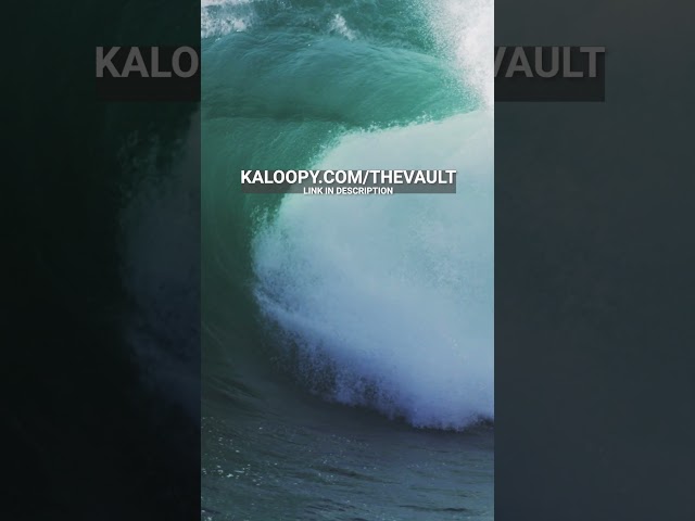 Everything You Love Is In The Vault Now