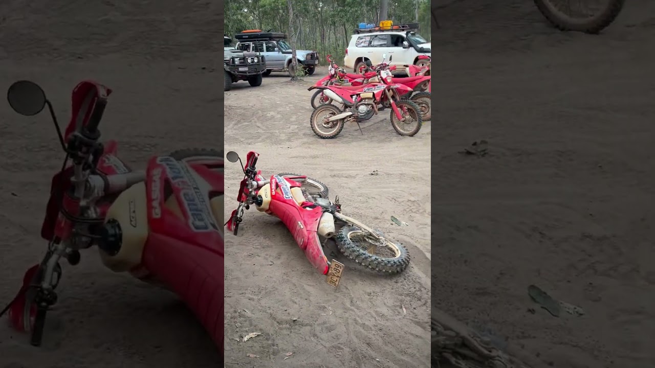 Palm Creek ghost ride 