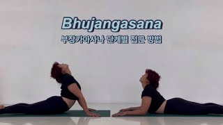 부장가아사나 단계별 접근 방법