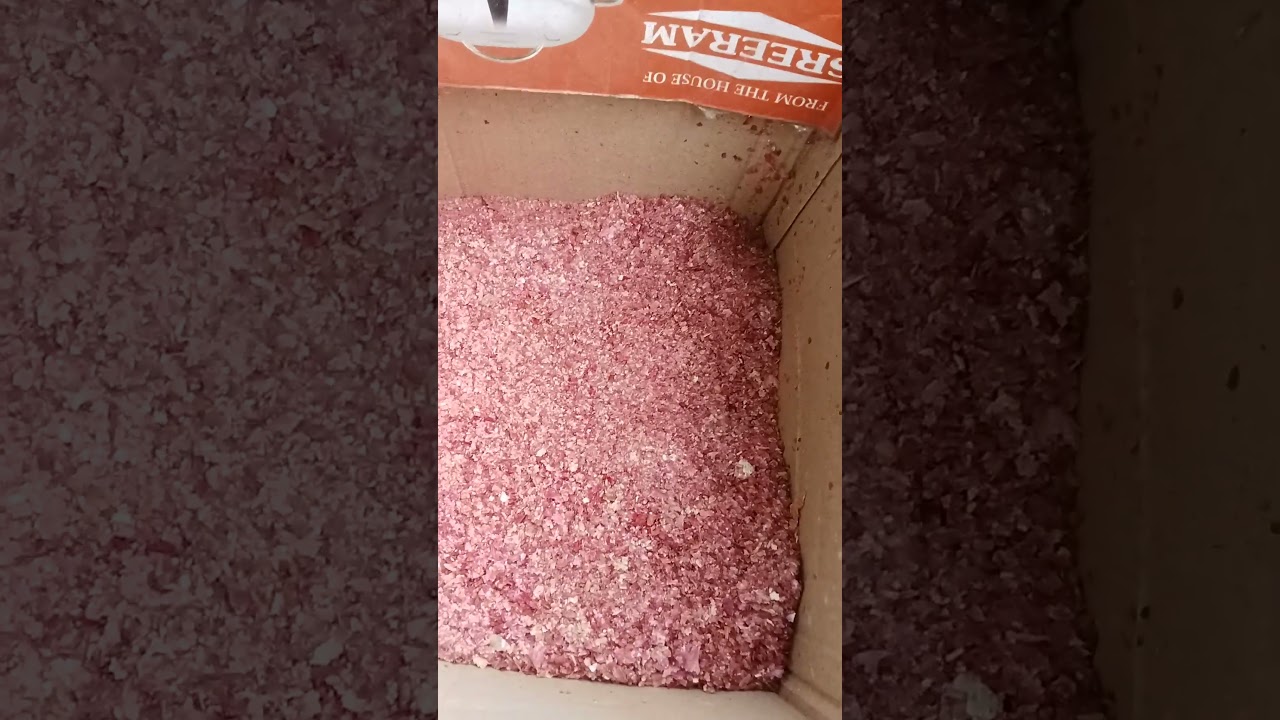 നിറയെ പൂക്കളും കായ്കളും ഈ വളം മതി (whatsapp no 9061243509)