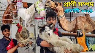 প্রাণী সম্পদ প্রদর্শণী মেলা ২০২৪ |  Biggest Pet exhibition show in Bangladesh | Pakh Pakhali