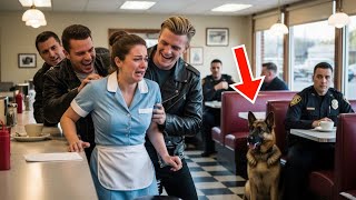 Download Lagu Gangsters vallen een serveerster lastig — maar een POLITIEAGENT en zijn Duitse herder houden alles i MP3