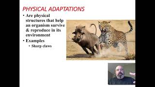 Adaptations Explained: Behavioral and Physical