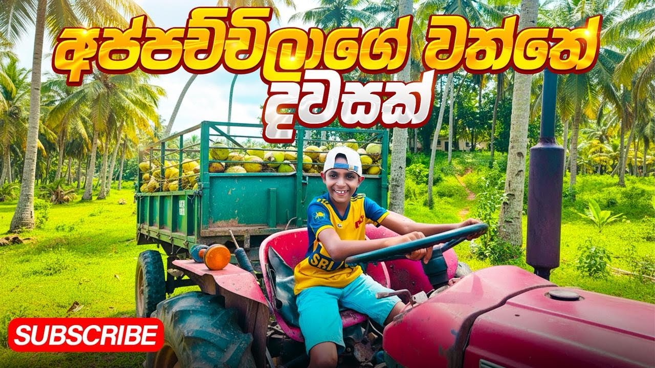 අප්පච්චිලගෙ වත්තෙ ගෙවුණු ලස්සන දවසක්! 💛🌾