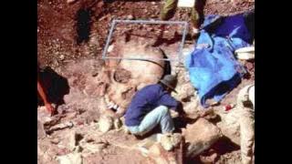 Manusia Raksasa Itu Ada; Benarkah?..