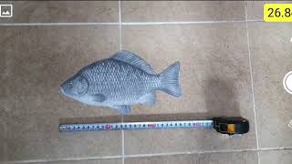 fish ruler app screenshot 5