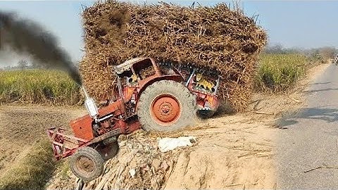 Cutting Hay the Old Fashioned Way in 2023 | Making and Cutting Hay