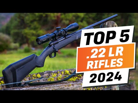 Top 5 BEST .22 LR Rifles You can Buy Right Now [2024]