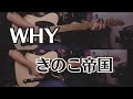 【ギターTABあり】WHY/きのこ帝国【Guitar Cover】【リクエスト】