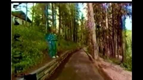 Immersion (1994) - First image-based modeling